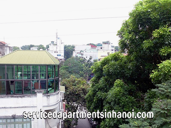 Bright Serviced Apartment for rent in Truc Bach Area, Ba Dinh 8