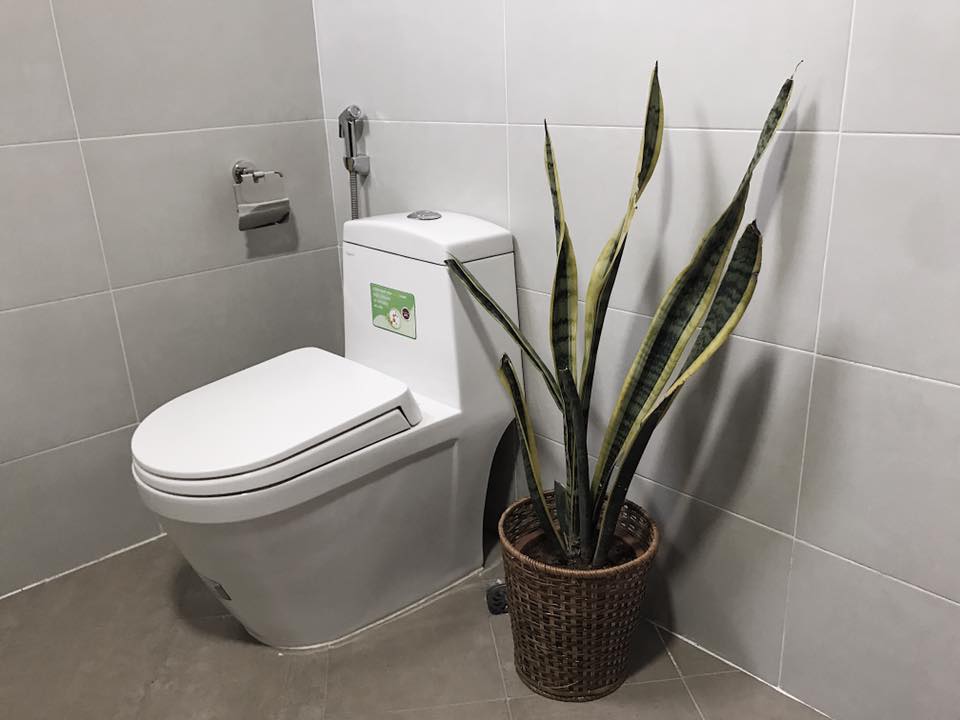 Newly Renovated Apartment Rental near Ta Quang Bui street, Hai Ba Trung district 5