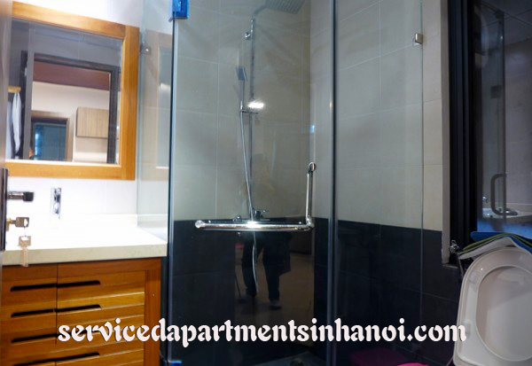 A brand new serviced apartment for rent near Sheraton Hotel 7