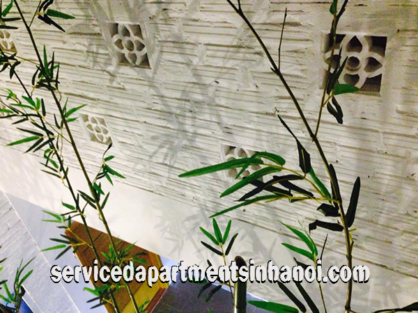 A stylish new studio flat for rent in Hoan Kiem 7