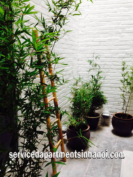 A stylish new studio flat for rent in Hoan Kiem 8