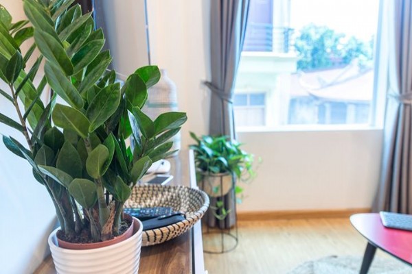 All in one Apartment Rental in Tay Ho District, Hanoi, Close to Ciputra Complex 6