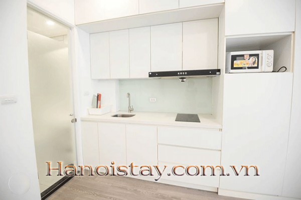 ATTRACTIVE & AMAZING BRIGHT APARTMENT in BA DINH District -