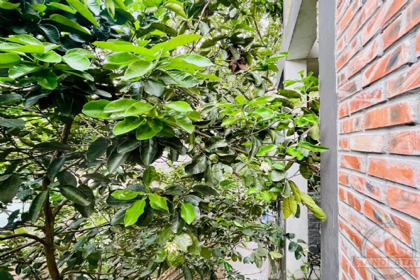 Beautiful house with 3 BR + 1 Working Room for rent in Bac Cau street, Long Bien District 6