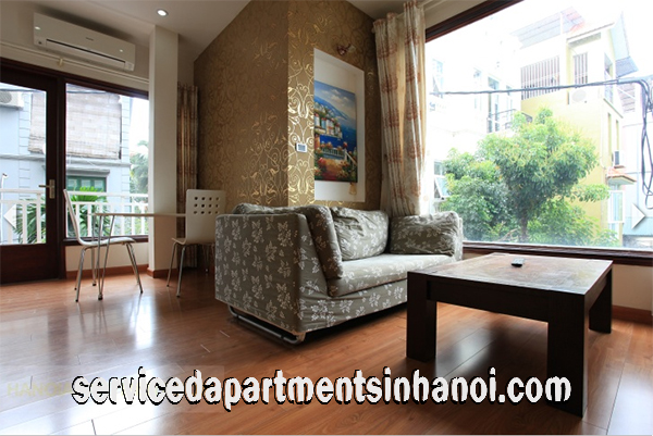 Beautiful one bedroom apartment in Dang Thai Mai str, West lake 1
