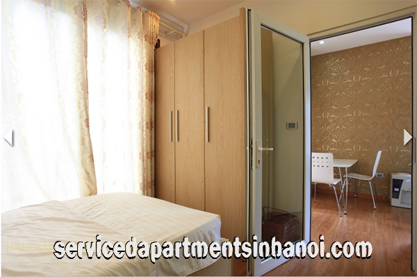 Beautiful one bedroom apartment in Dang Thai Mai str, West lake 8