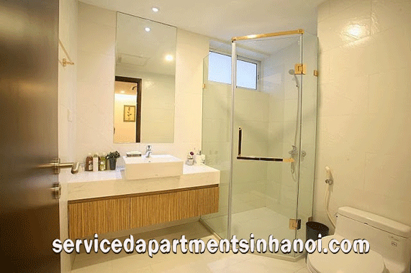Beautiful rental three bed apartment in Hoa Binh Green City, Hai Ba Trung 7