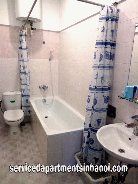Big Size One Bedroom Apartment in Red Building, Hai Ba Trung District 7