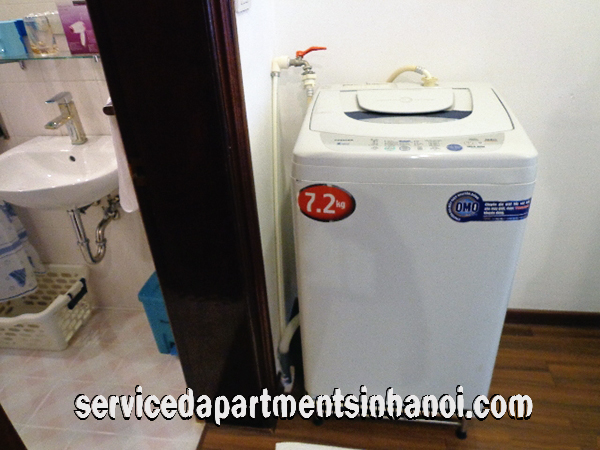 Big Size One Bedroom Apartment in Red Building, Hai Ba Trung District 8