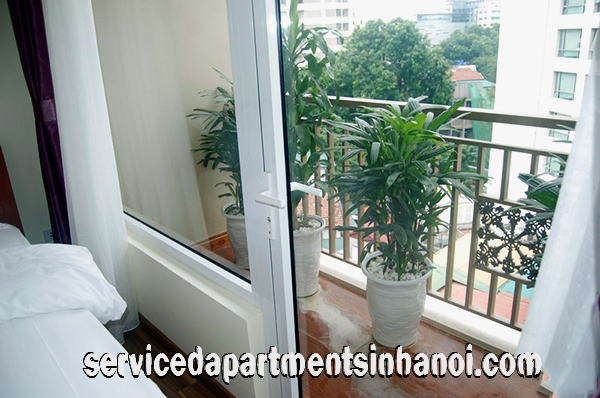 Brand New 2 bed apartment in Center of Hoan Kiem, Near Hanoi Opera House 6