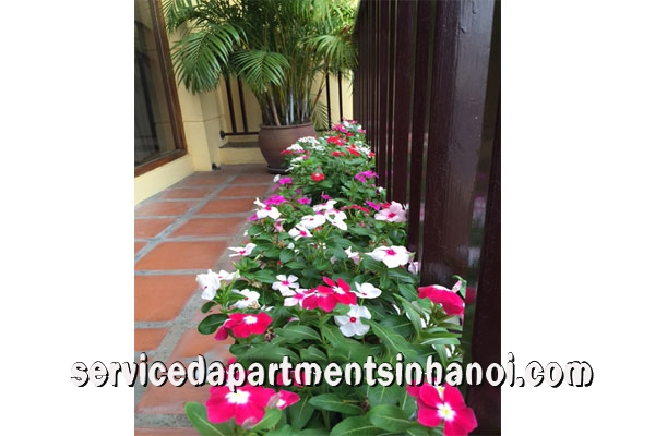 Brand new 2 bedroom apartment in Nghi Tam str, Tay ho 2