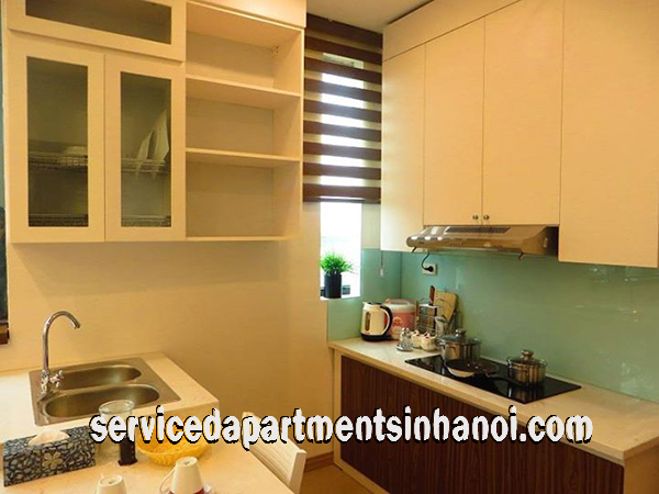 Brand New 2 Bedroom Apartment Rental in Ba Dinh, Walking distance to Lotte Center 4