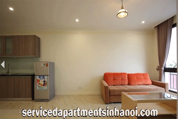 Brand New 2 Bedroom Apartment Rental in Doi Can Str, Budget Price 1