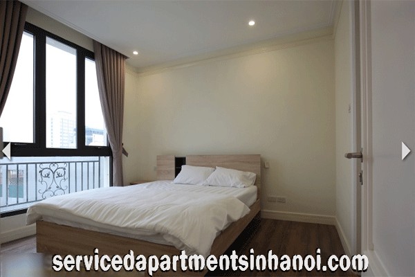 Brand New 2 Bedroom Apartment Rental in Doi Can Str, Budget Price 10