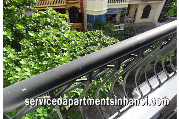Brand New 2 bedroom apartment with Beautiful terrace Rental in Dao Tan, Hanoi 5