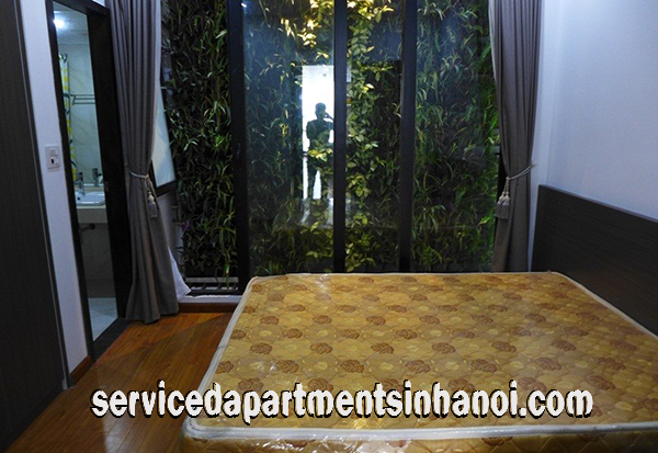 Brand New 2 Bedroom Serviced Apartment Rental in Dang Thai Mai street, Tay Ho 1