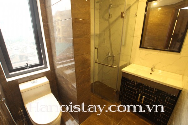 Brand New Apartment for rent in Doi Can street, Not far from Lotte Center 5