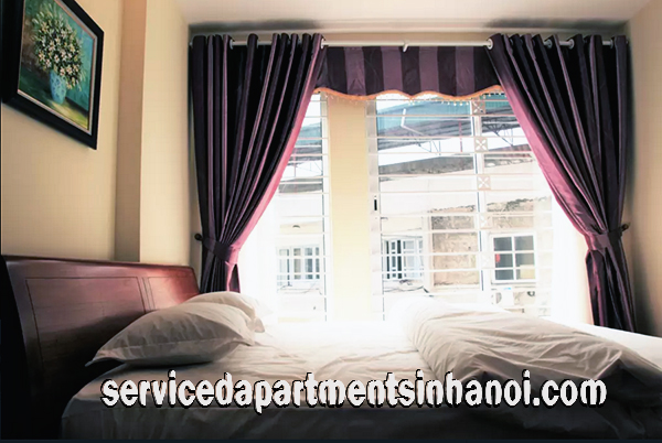 Brand New Apartment for rent near Hanoi Opera House, Hoan Kiem 13
