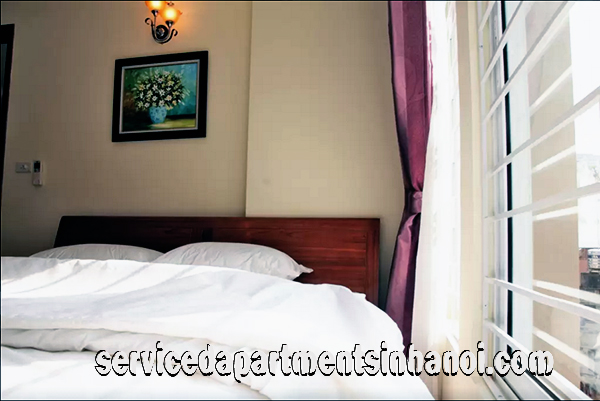 Brand New Apartment for rent near Hanoi Opera House, Hoan Kiem 16