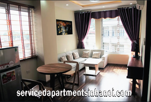 Brand New Apartment for rent near Hanoi Opera House, Hoan Kiem 4