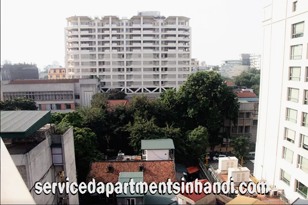 Brand New Apartment for rent near Hanoi Opera House, Hoan Kiem 5