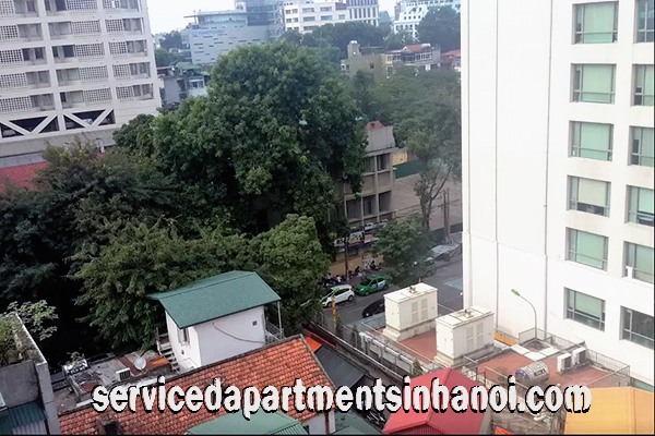 Brand New Apartment for rent near Hanoi Opera House, Hoan Kiem 6