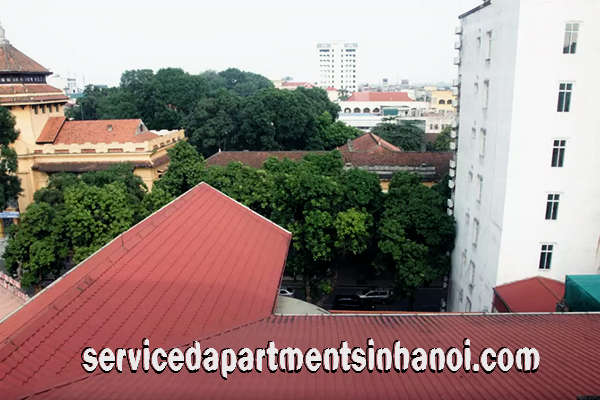 Brand New Apartment for rent near Hanoi Opera House, Hoan Kiem 8