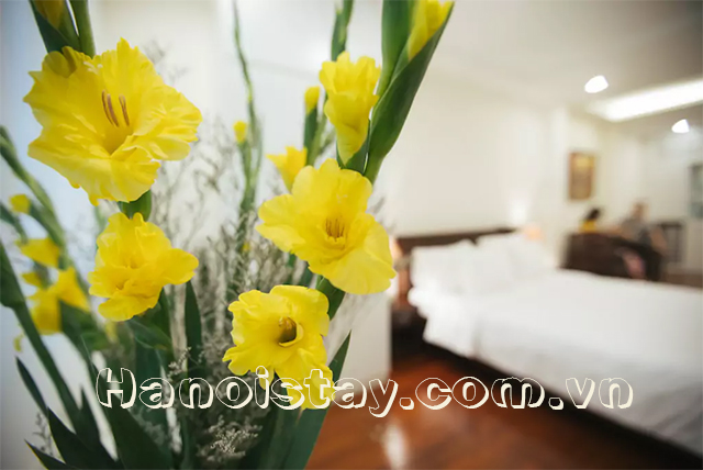 Brand New Apartment Rental Close to Hanoi Old Quarter, Hoan Kiem 7