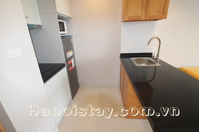 Brand New Apartment Rental in Le Duan street, Dong Da, Very Nice Lake View 5
