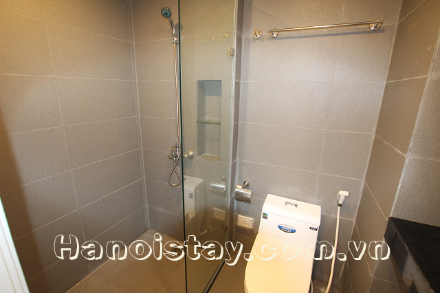 Brand New Apartment Rental in Le Duan street, Dong Da, Very Nice Lake View 6