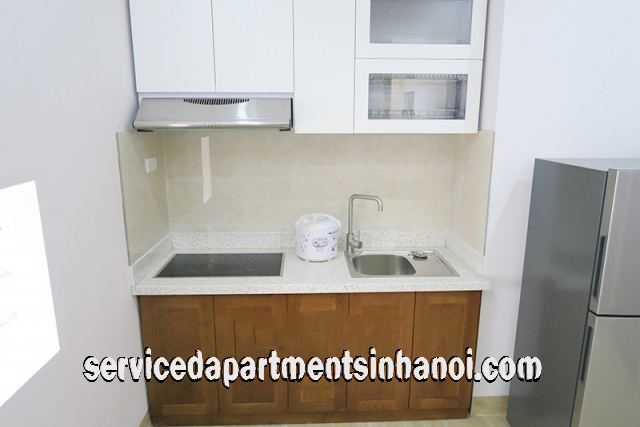Brand New Apartment Rental in Nghi Tam Street, Tay Ho 5