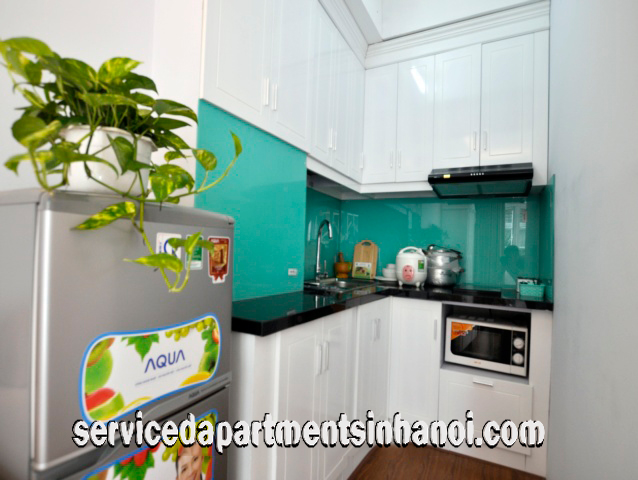 Brand New Apartment Rental in Trung Kinh street, Cau Giay 6