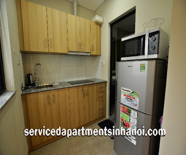 Brand new apartment with nice style in the heart of Downtown HaNoi 5