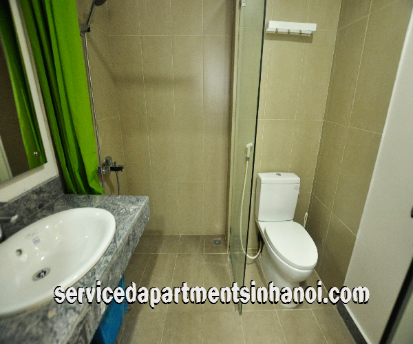 Brand new apartment with nice style in the heart of Downtown HaNoi 7