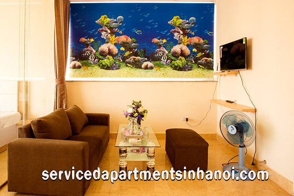 Brand New Apartment with nice style in Trung Yen st, Cau giay 1