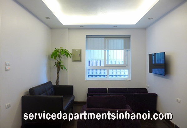 Brand New Apartment with well Designed For rent in Dang Thai Mai Str, Tay ho 3