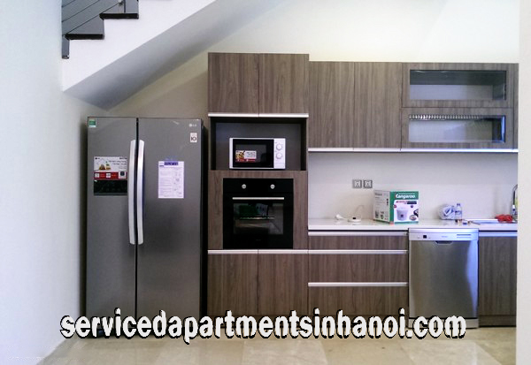 Brand New Five bedroom Villa for rent in Block Q, Ciputra Area Hanoi 6