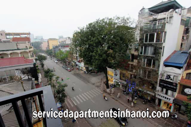 Brand New High Quality Apartment For rent in Pho Hue Street, Hai Ba Trung 11