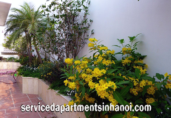 Brand New House for rent in Dang Thai Mai str, Tay Ho, Four bedroom, Lovely balcony 4