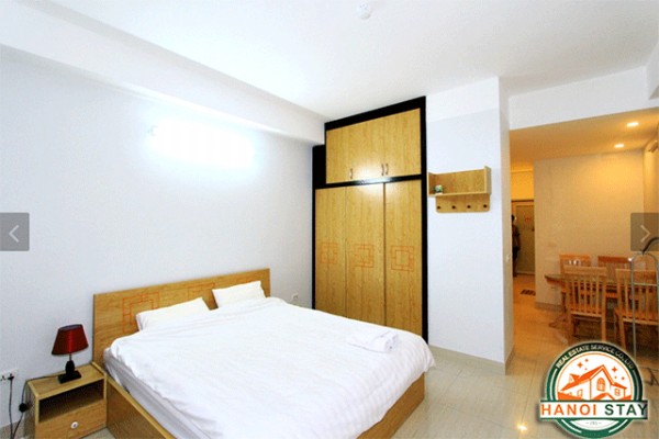 Brand New Modern Apartment Rental in Tran Hung Dao street, Hoan Kiem 5