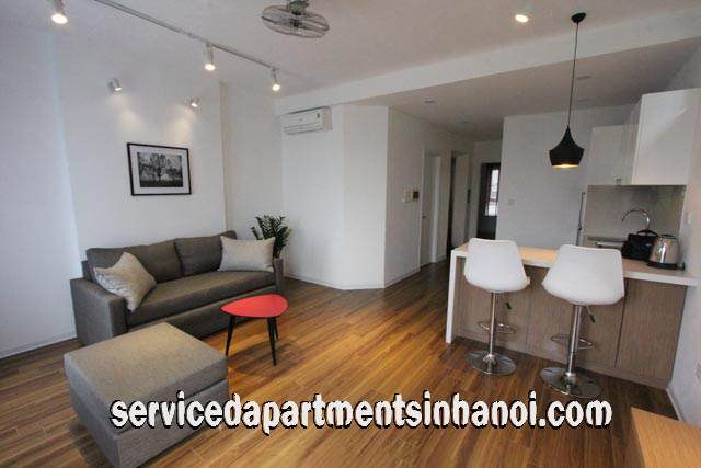 Brand New One Bedroom Apartment For Rent in Au Co street, Tay Ho 2