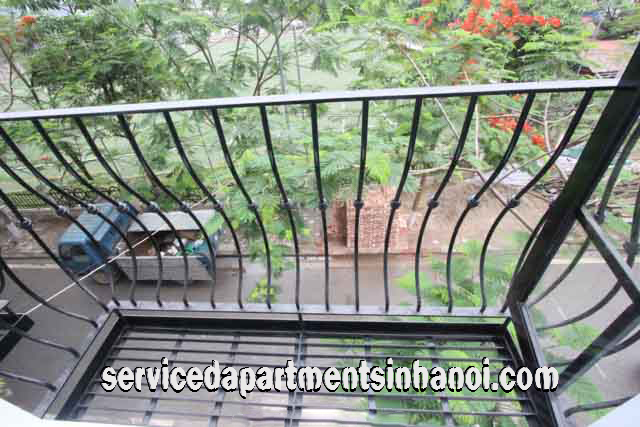 Brand New One Bedroom Apartment For Rent in Au Co street, Tay Ho 9