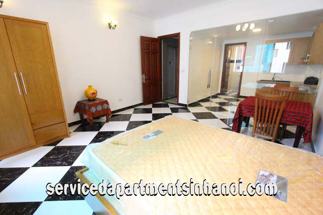 Brand New One Bedroom Apartment Rental in Hai Ba Trung district, Close to Thong Nhat Park 3