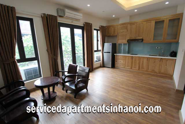 Brand New One Bedroom Apartment Rental in Hanoi Old Quarter, Hoan Kiem 1