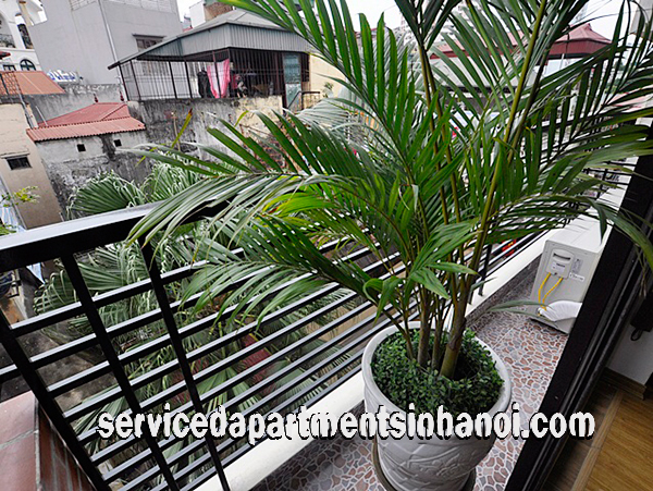 Brand New One Bedroom Apartment Rental in Lang Ha str, Dong Da 6