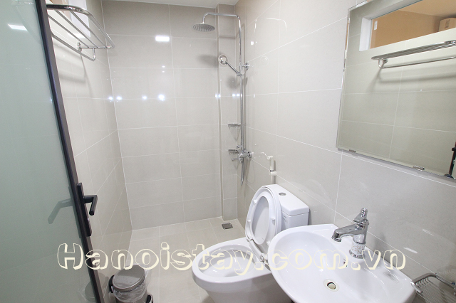 Brand New One Bedroom Apartment Rental in Lieu Giai Street, Ba Dinh 6