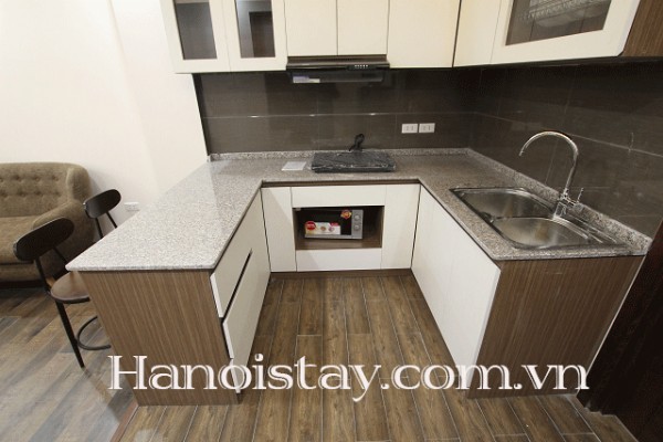 Brand New One Bedroom Apartment Rental in Nguyen Chi Thanh street, Dong Da 5