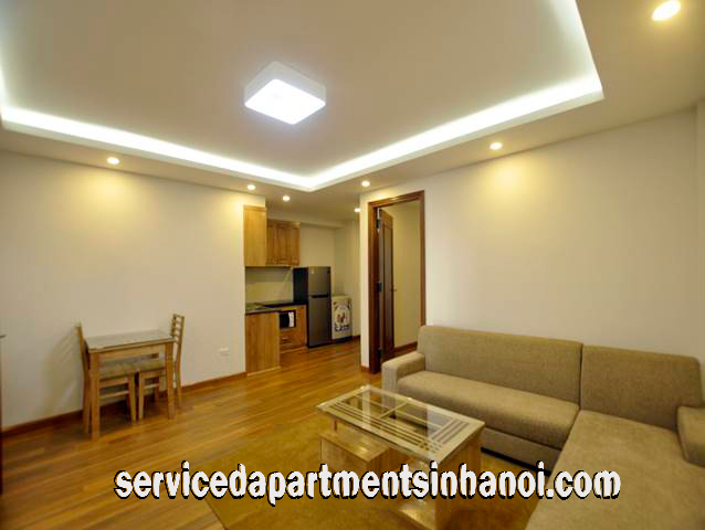 Brand New One Bedroom Apartment Rental in Tran Duy Hung str, Cau Giay distr 2
