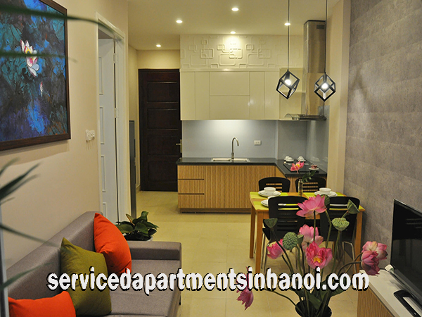 Brand New One Bedroom Apartment Rental in Trich Sai street, Tay Ho, Very Nice Terrace 5