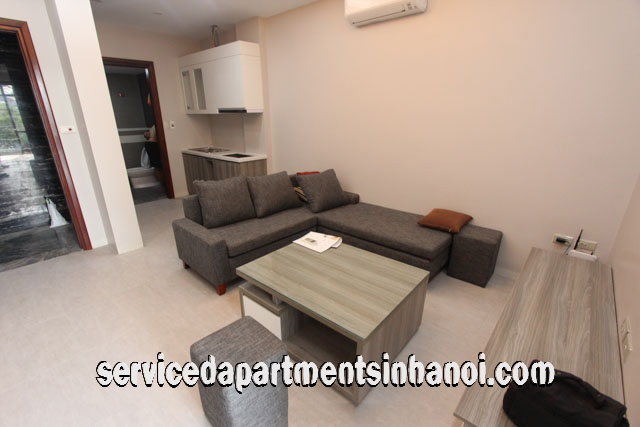 Brand New One Bedroom Apartment Rental in Trinh Cong Son str, Tay Ho 5